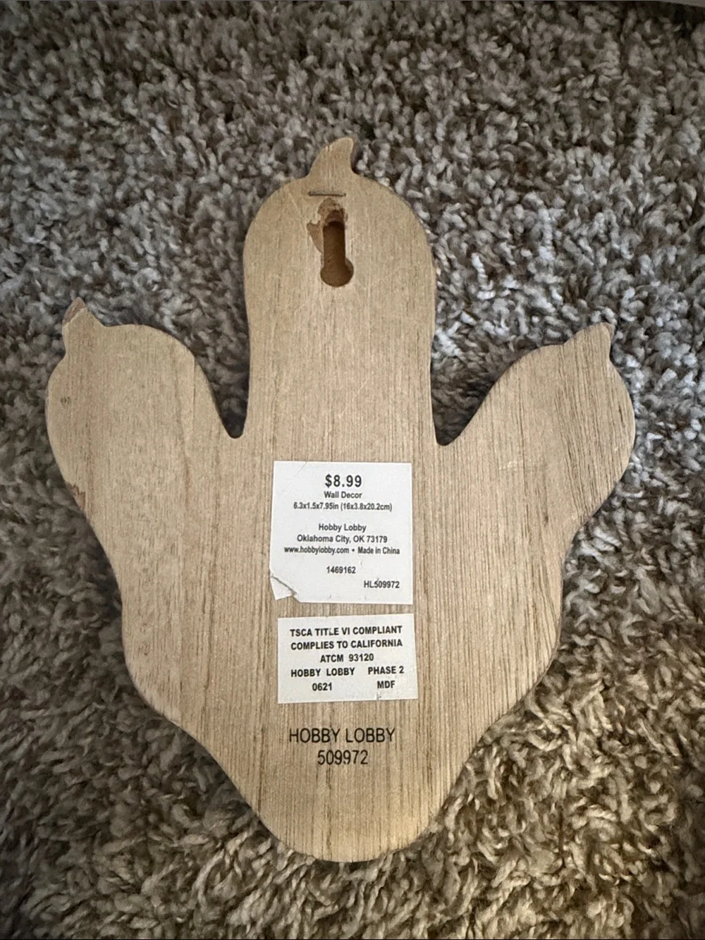 Hobby Lobby Green Cactus Bird Perch Hook
